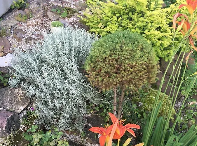 Park Apartman Hévíz